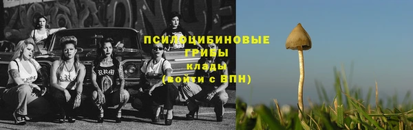 каннабис Алзамай