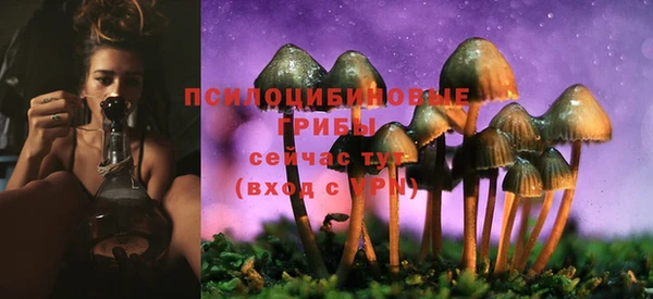 каннабис Алзамай